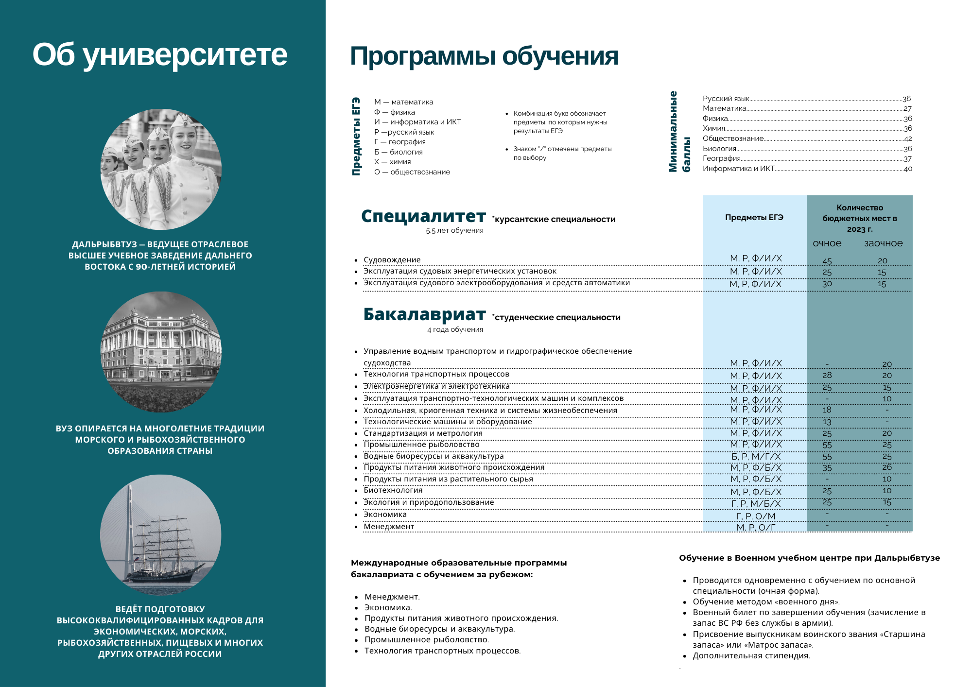 Also, at the request of the press office, I had to create brochures for partner companies.
また、広報部の依頼で、パートナー企業のためにパンフレットを作成することもありました。